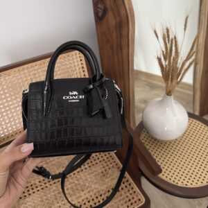 Coach mini andrea bag