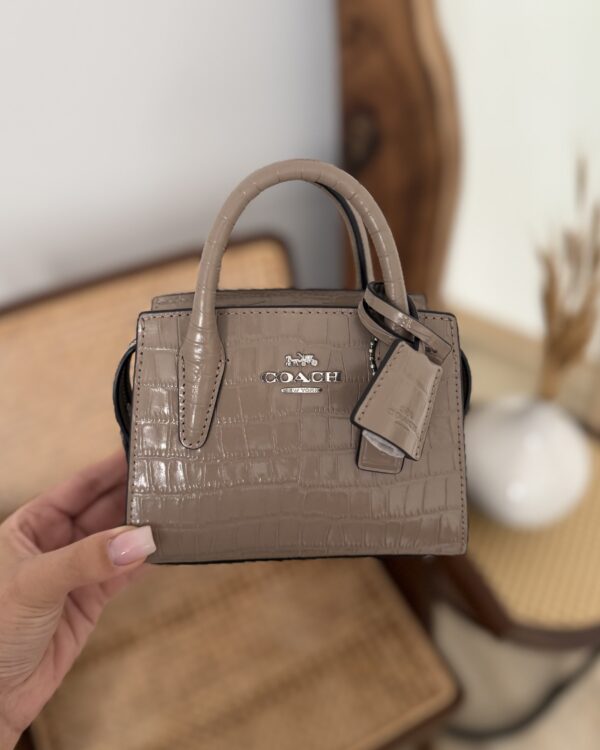 Coach mini andrea bag - Image 1