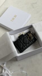 Dior cardholder