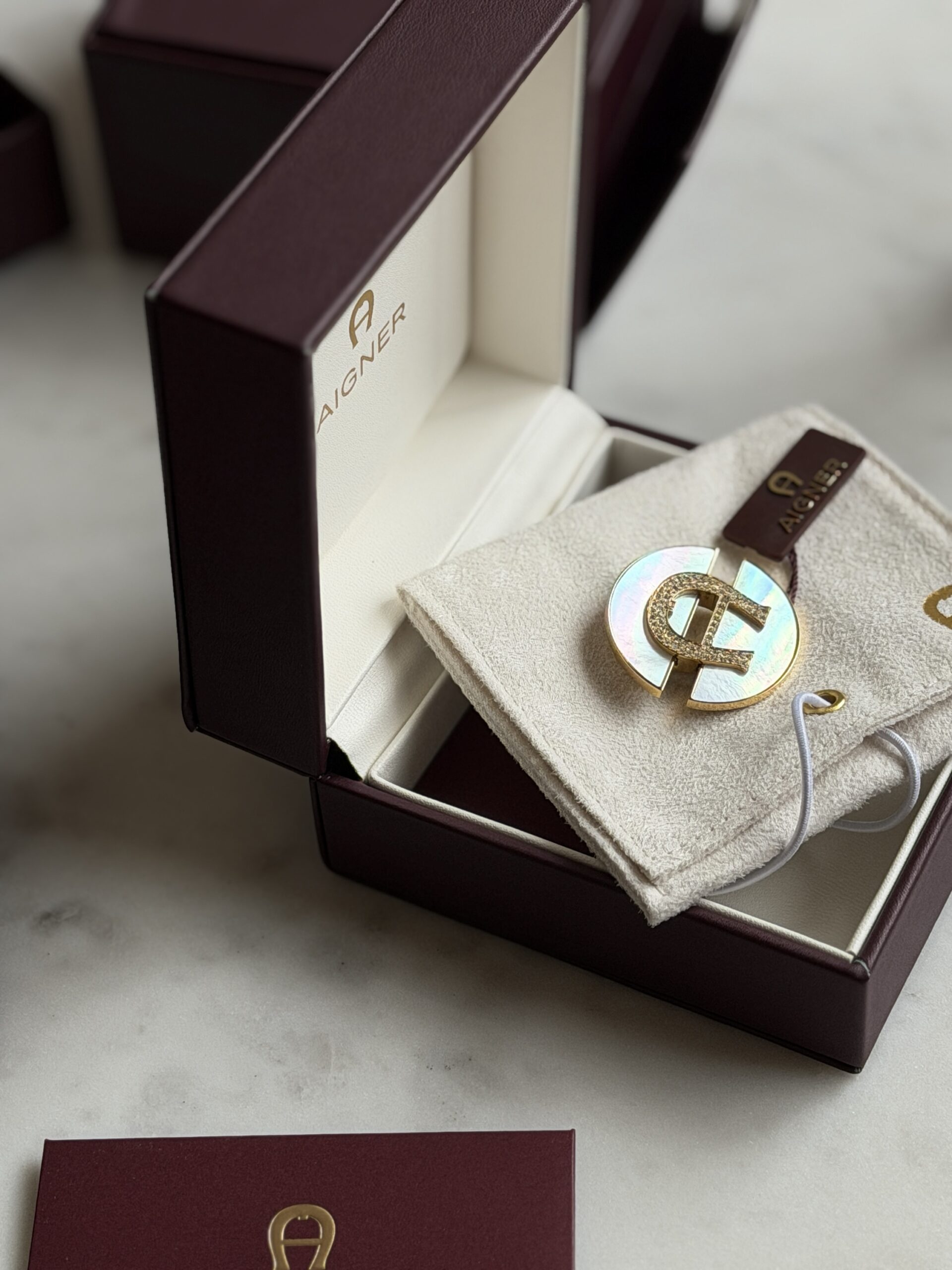img_6853 Aigner Brooch - Image 1